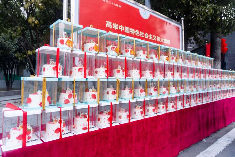 卯兔踏春鬧元宵，齊心奮進展新貌(圖7)