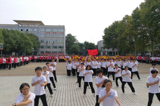 2020年秋新生軍訓(xùn)匯報(bào)表演暨開學(xué)典禮(圖6)